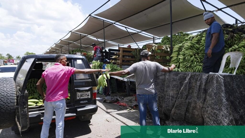 La inflación continúa fuera de la meta y los combustibles elevan la presión sobre el costo de la vida