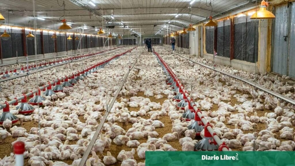 ADA respalda la ley que deja fija la exoneración al agro