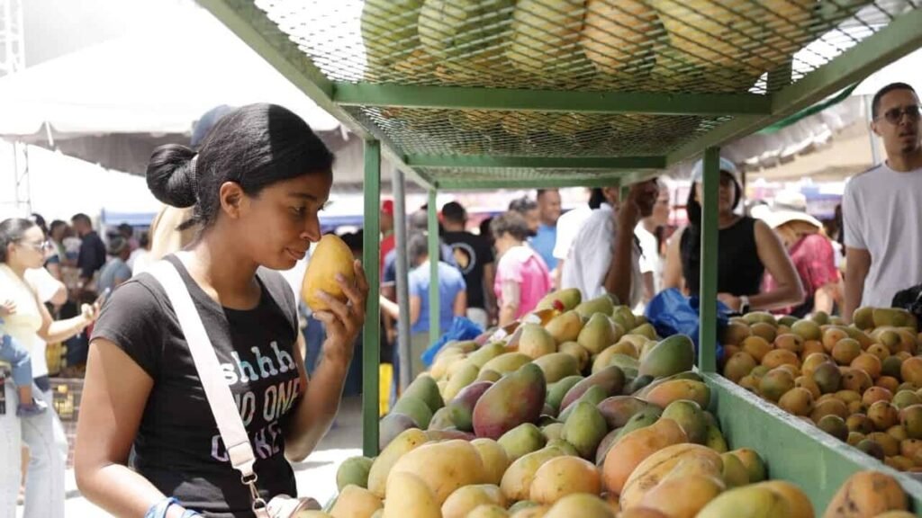 Ley declara a Baní “Capital del Mango” y reabre el debate sobre el uso simbólico del Congreso