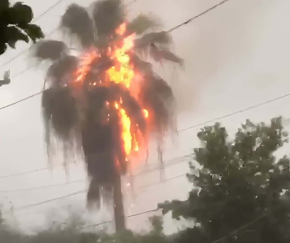 Incendio en una casa de La Vega tras caer un rayo sobre una palma