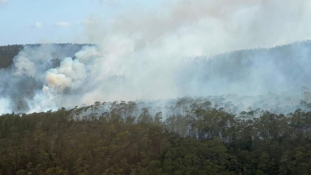 Refuerzan el operativo en Sierra de Bahoruco por un incendio que sigue activo