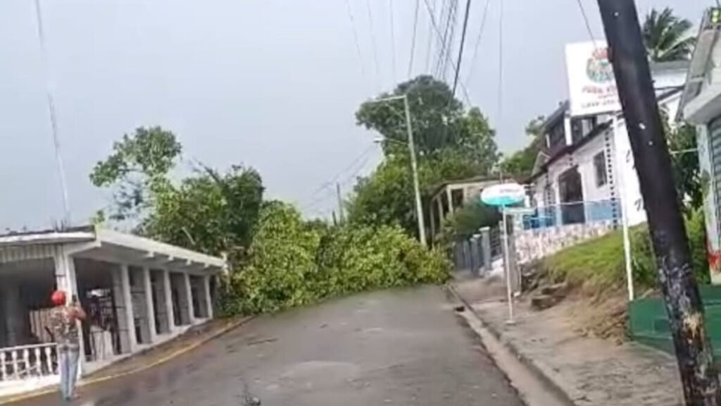 Árboles caídos y vías bloqueadas en Loma de Cabrera tras un fenómeno atmosférico