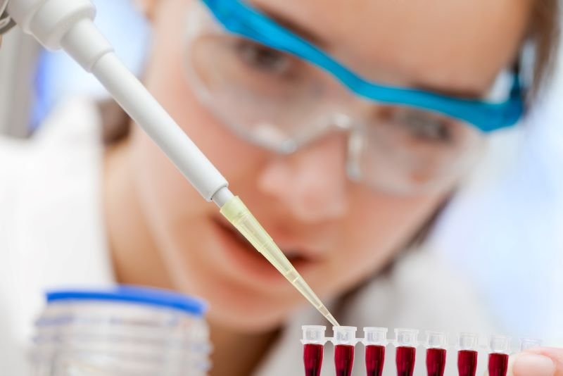 Un hallazgo sobre el hígado abre nuevas vías frente a diabetes y obesidad, con la salud pública otra vez en primer plano