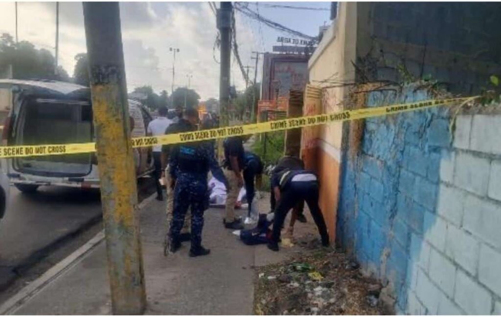 Muerte de Katianely Sánchez Solís en el Distrito Nacional mantiene en curso la pesquisa oficial