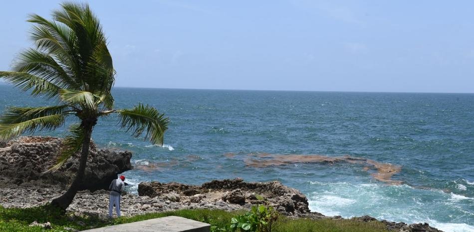Sargazo llega al Malecón mientras siguen sin anunciarse medidas específicas