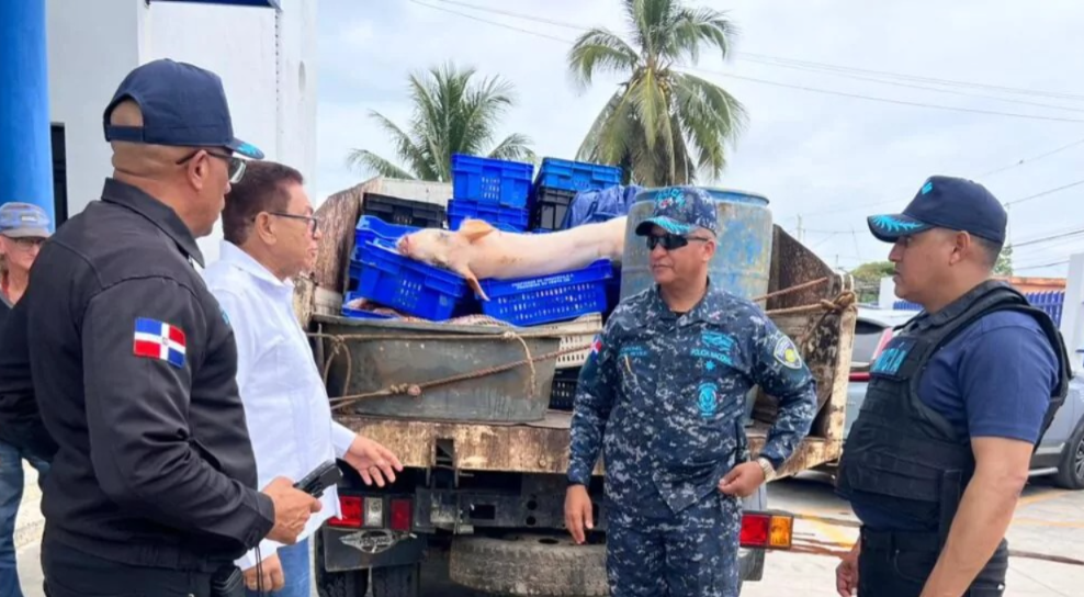 Más de dos toneladas de carne podrida son incautadas en un matadero clandestino de Río San Juan