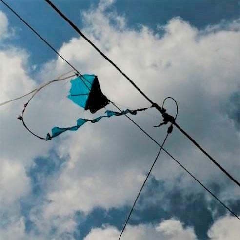 Edeeste alerta en Higüey por riesgo de chichiguas cerca de cables y equipos en carga tras dos casos graves