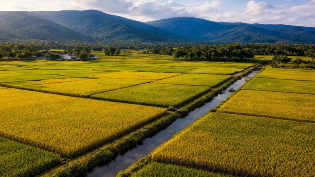 Zonificación agrícola vuelve a poner bajo la lupa el uso de tierras y agua