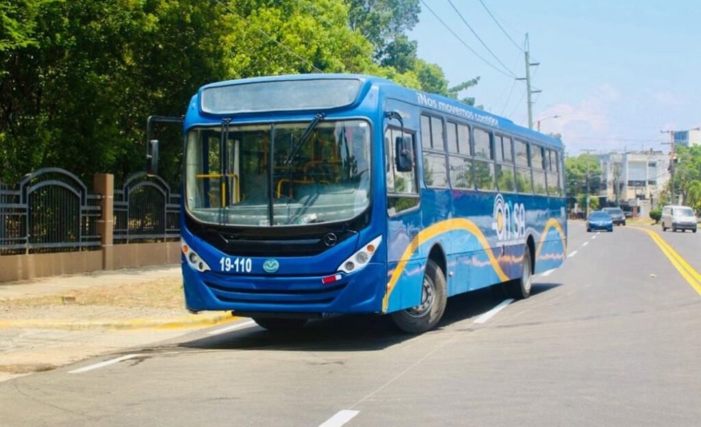 OMSA pone en marcha una ruta gratis para SD 2026 y deja el transporte como prueba decisiva