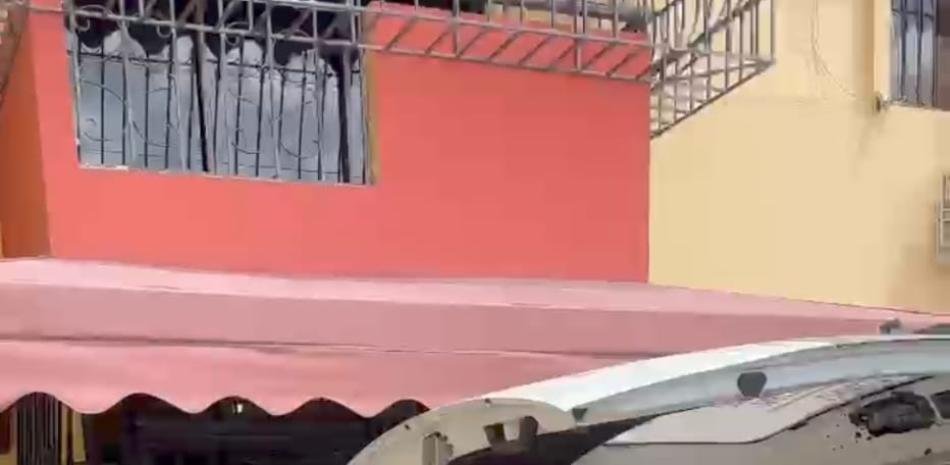 También aparece muerto el perro en el apartamento de la avenida Rómulo Betancourt