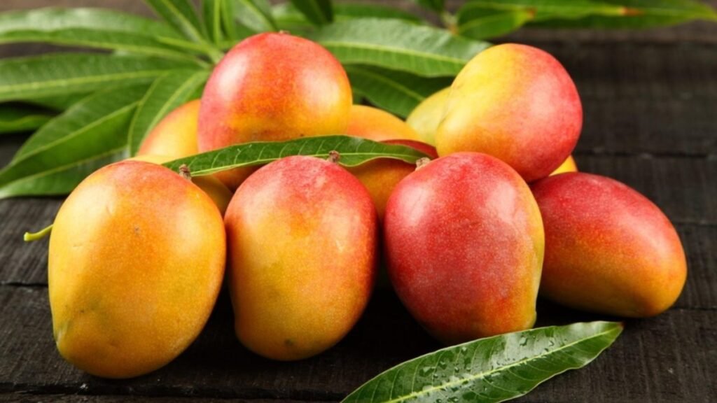 El veto al mango dominicano en EE. UU. deja al descubierto viejas fallas de control