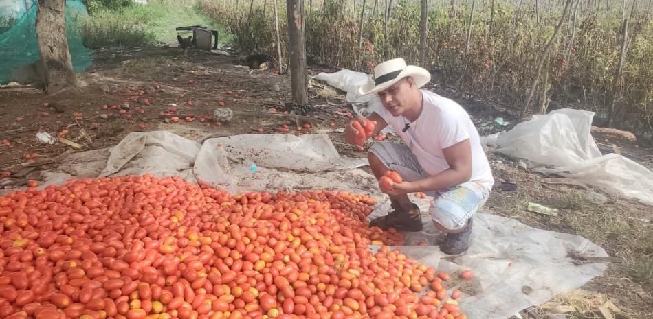 Productores de Ocoa denuncian pérdidas millonarias mientras sigue sin llegar la respuesta oficial