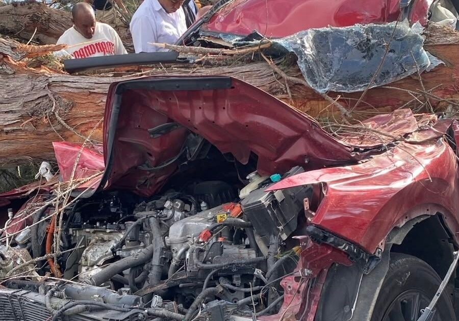 Árbol cae sobre Las Américas, hiere a cuatro personas y paraliza el tránsito en Doña Pula