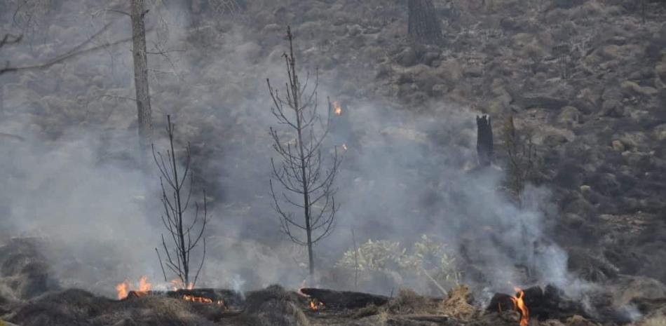 Controlan parcialmente el fuego en Valle Nuevo, pero sigue sin conocerse su origen