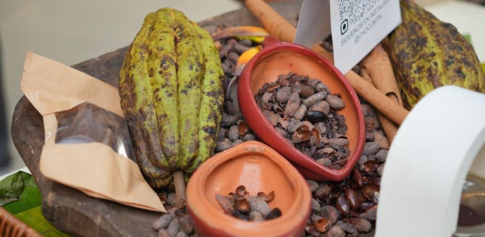 US$669 millones en cacao: el alza exportadora llega impulsada por precios mientras el foco oficial se desplaza al festival