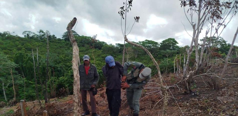Seis meses suspendidos por el incendio en Cañada de la Vaca y orden de reforestación para dos condenados