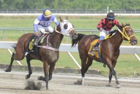 Novas domina la jornada, pero una carrera anulada obliga a poner la lupa sobre el Hipódromo Quinto Centenario