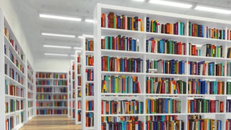 Una experiencia en biblioteca expone lo que falta para que la cultura pública genere verdadera pertenencia